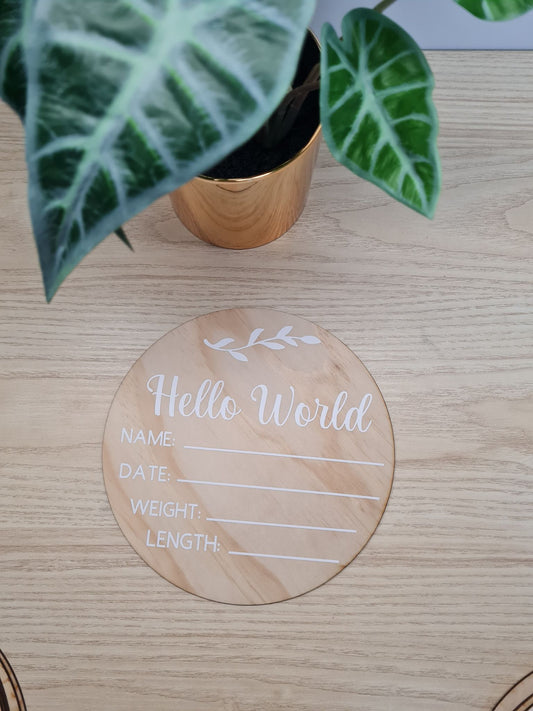 DISPLAY - Hello World Plaque