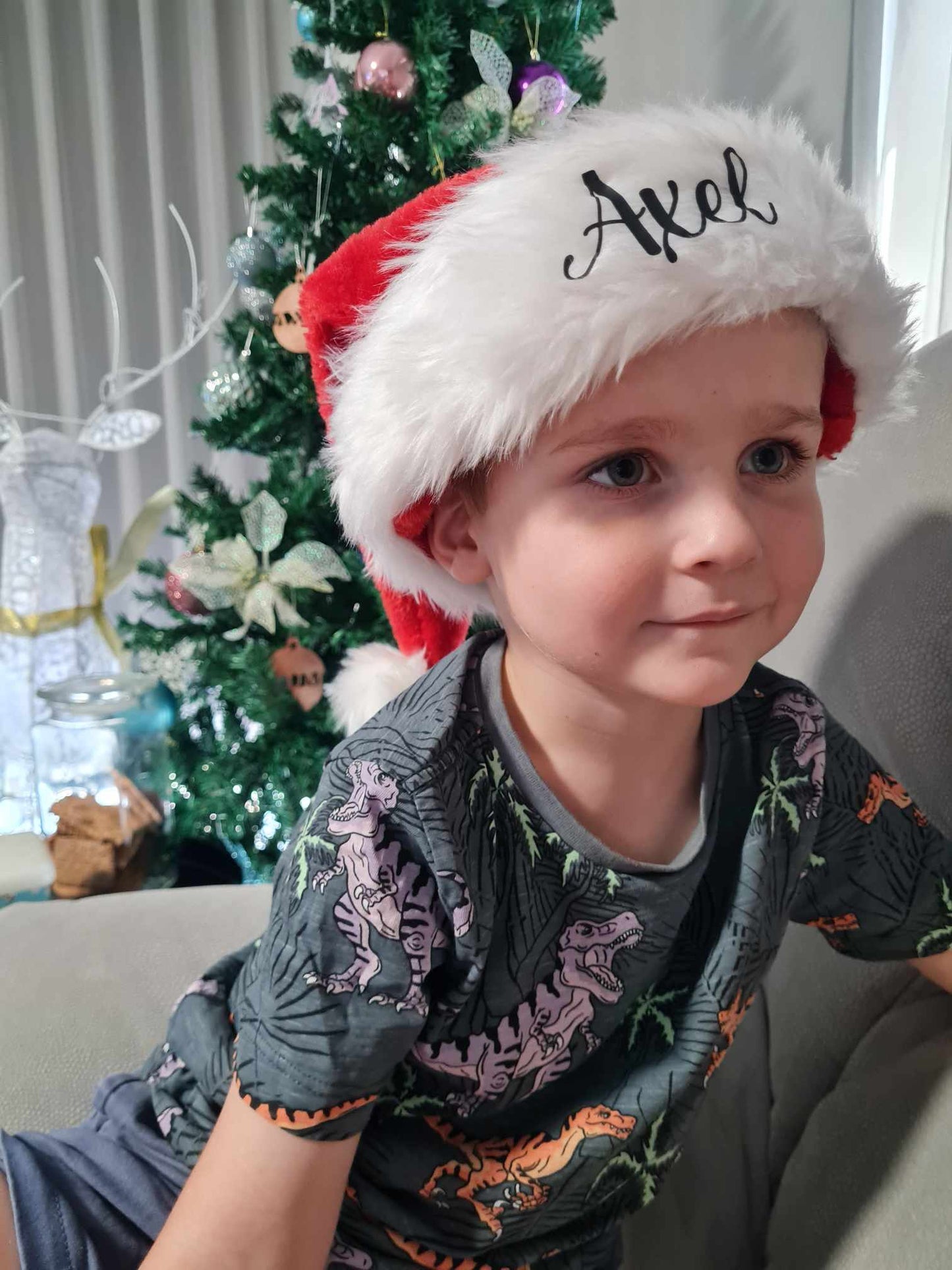 Santa Hat