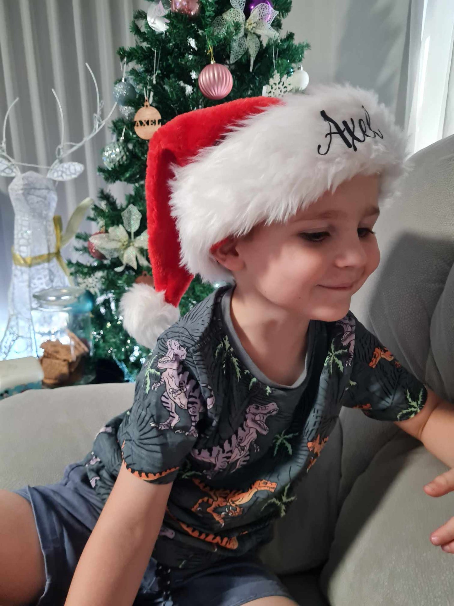 Santa Hat