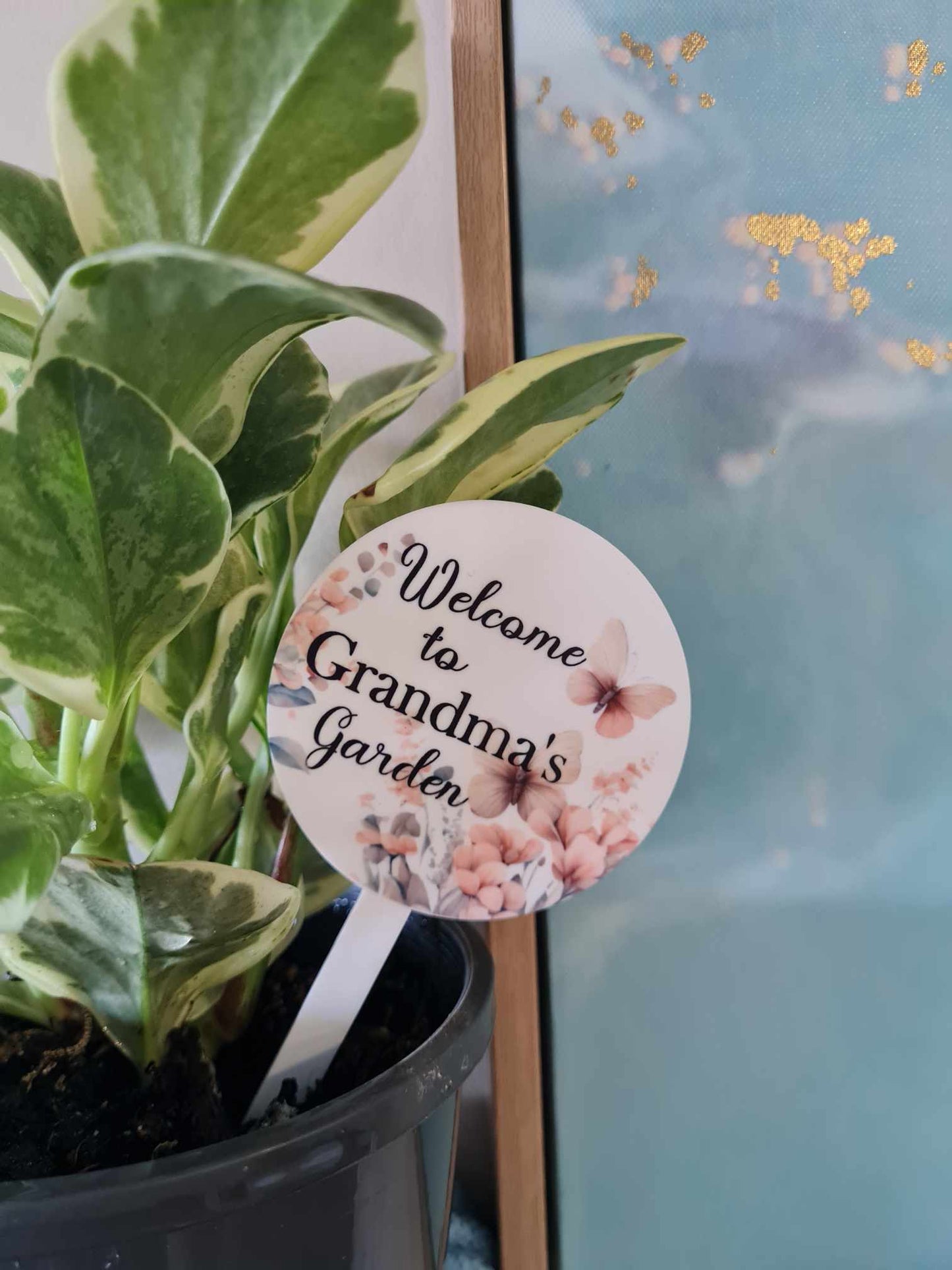 Welcome to Garden Plant Stake