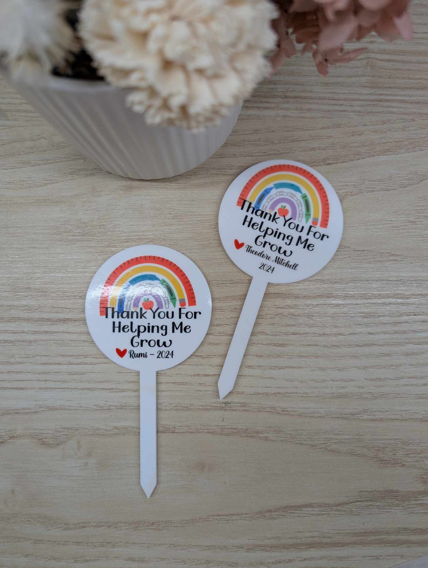 Thank you for Helping me Grow Rainbow Plant Stake