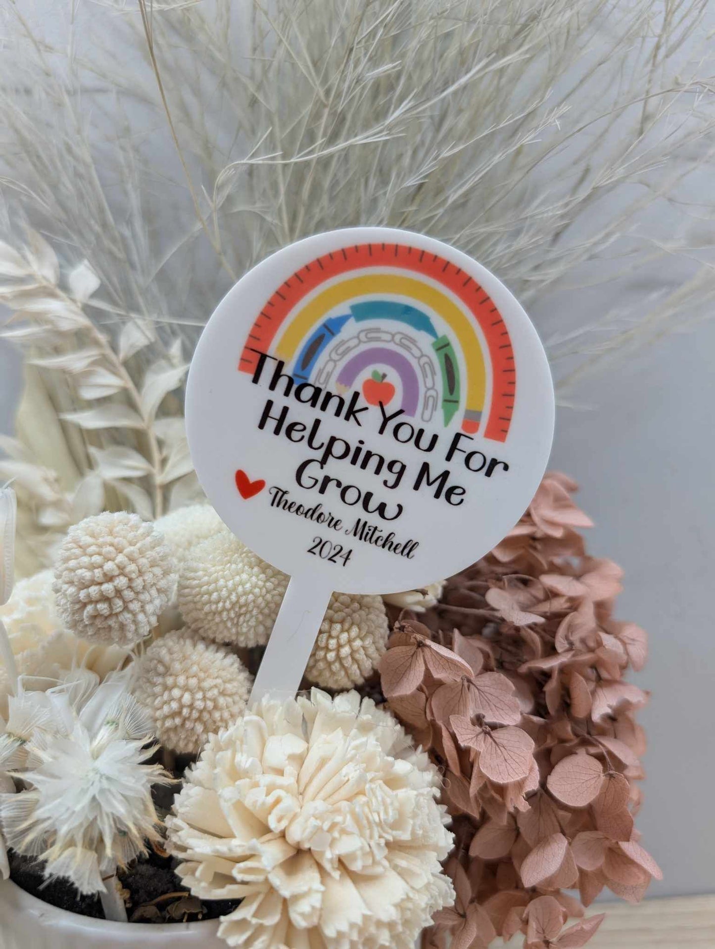 Thank you for Helping me Grow Rainbow Plant Stake