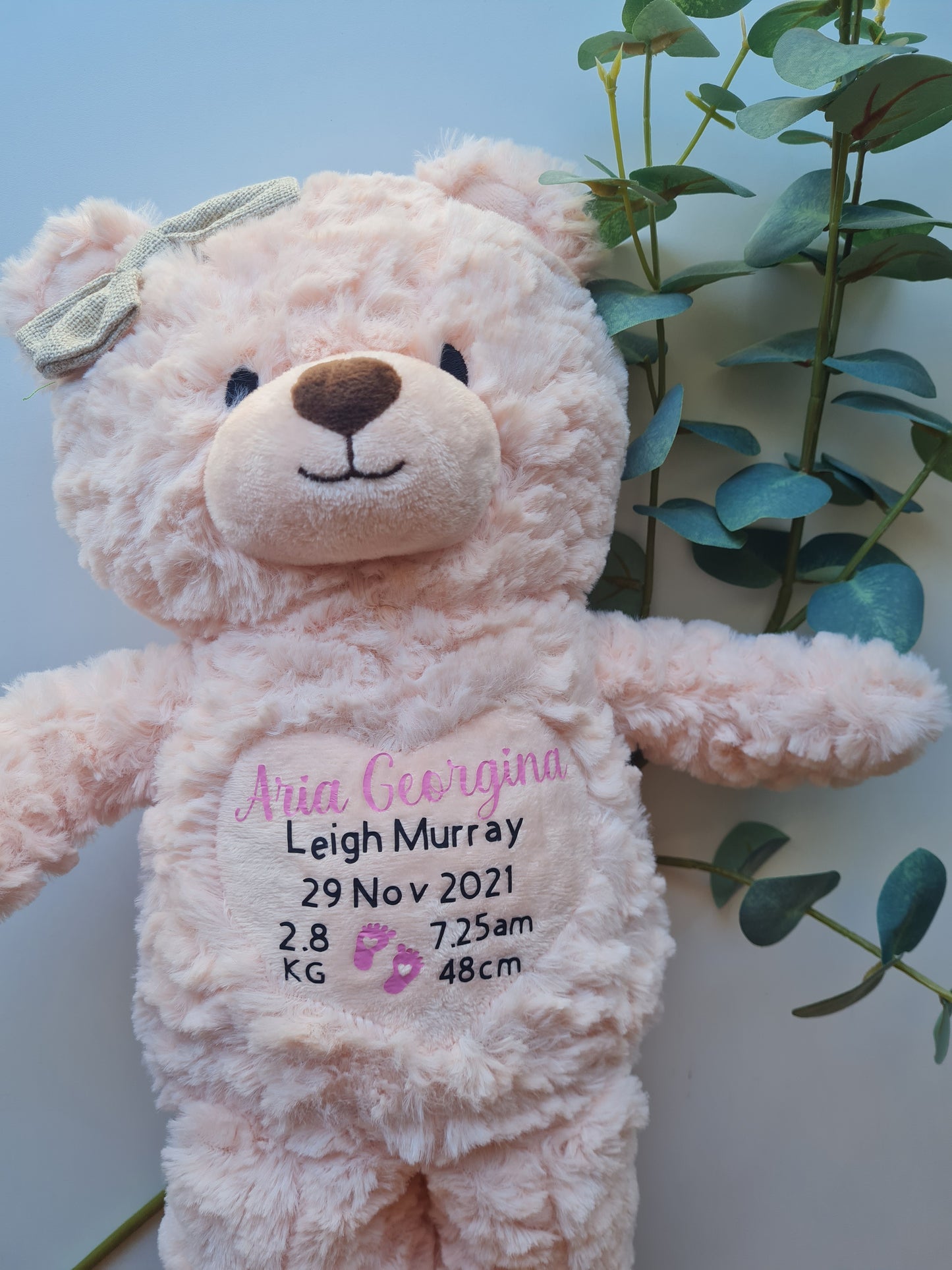 Baby Birth Detail Teddy Bears