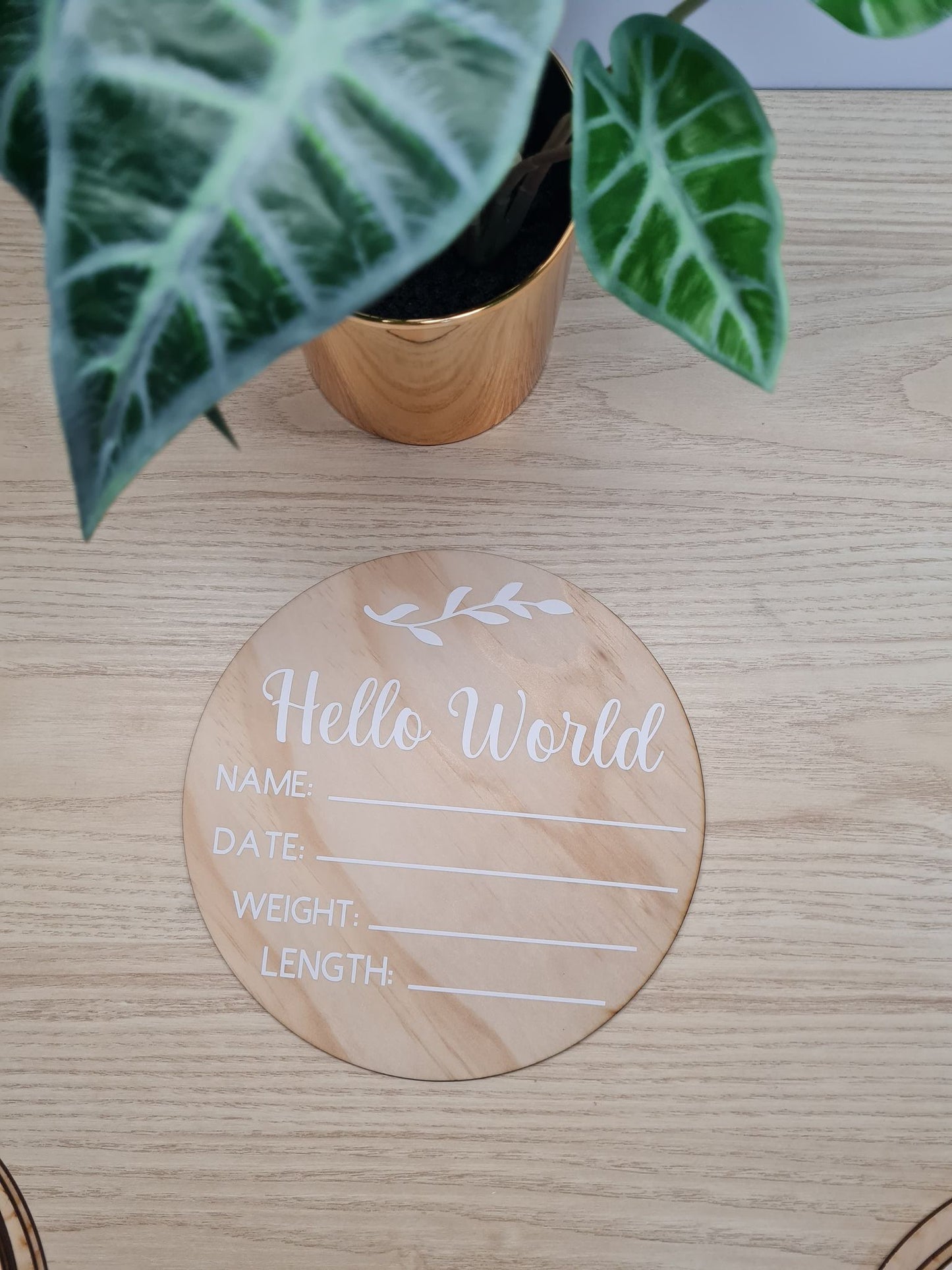 Hello World Plaque