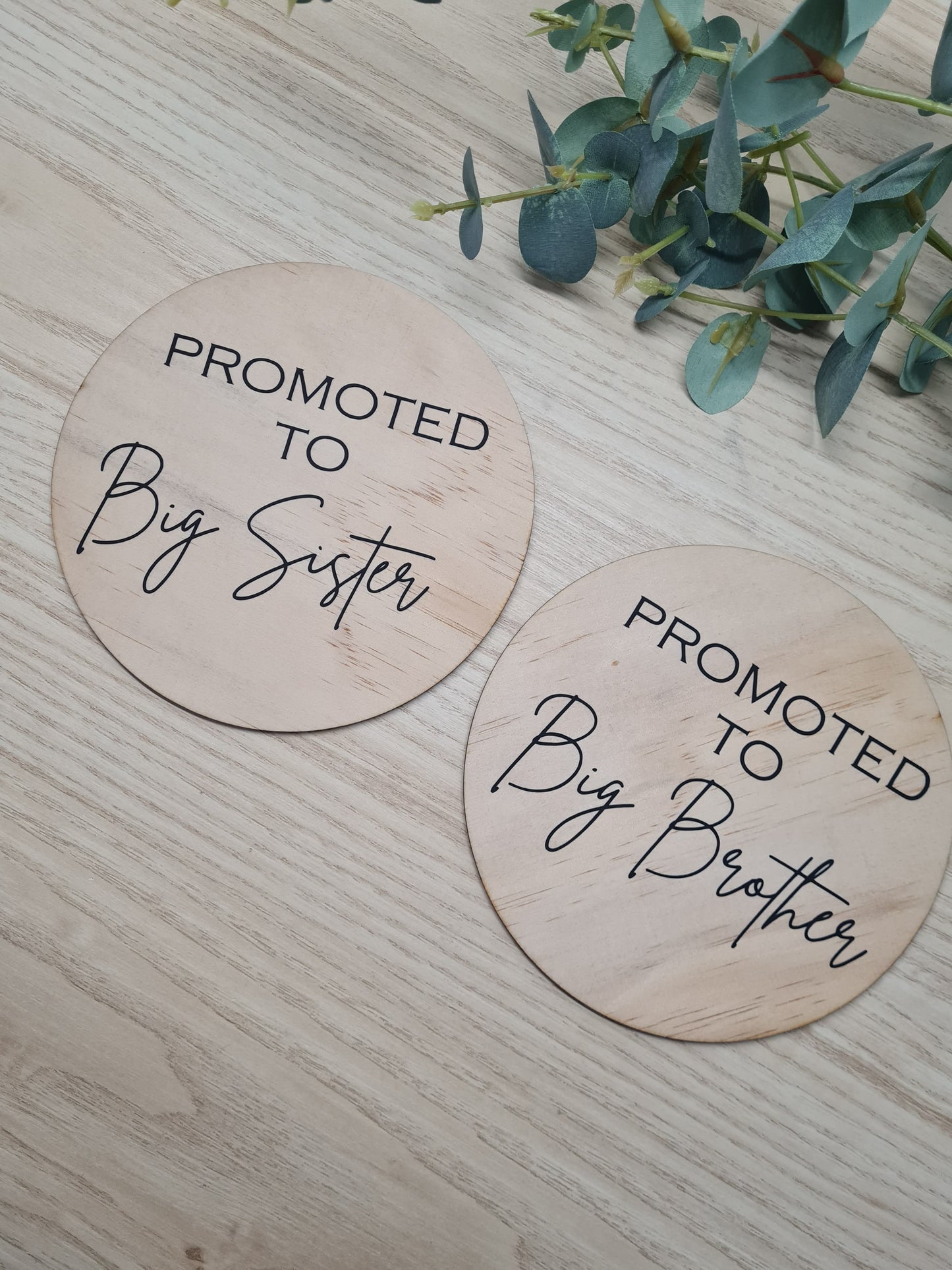 Promoted to Big Brother/ Sister Plaque