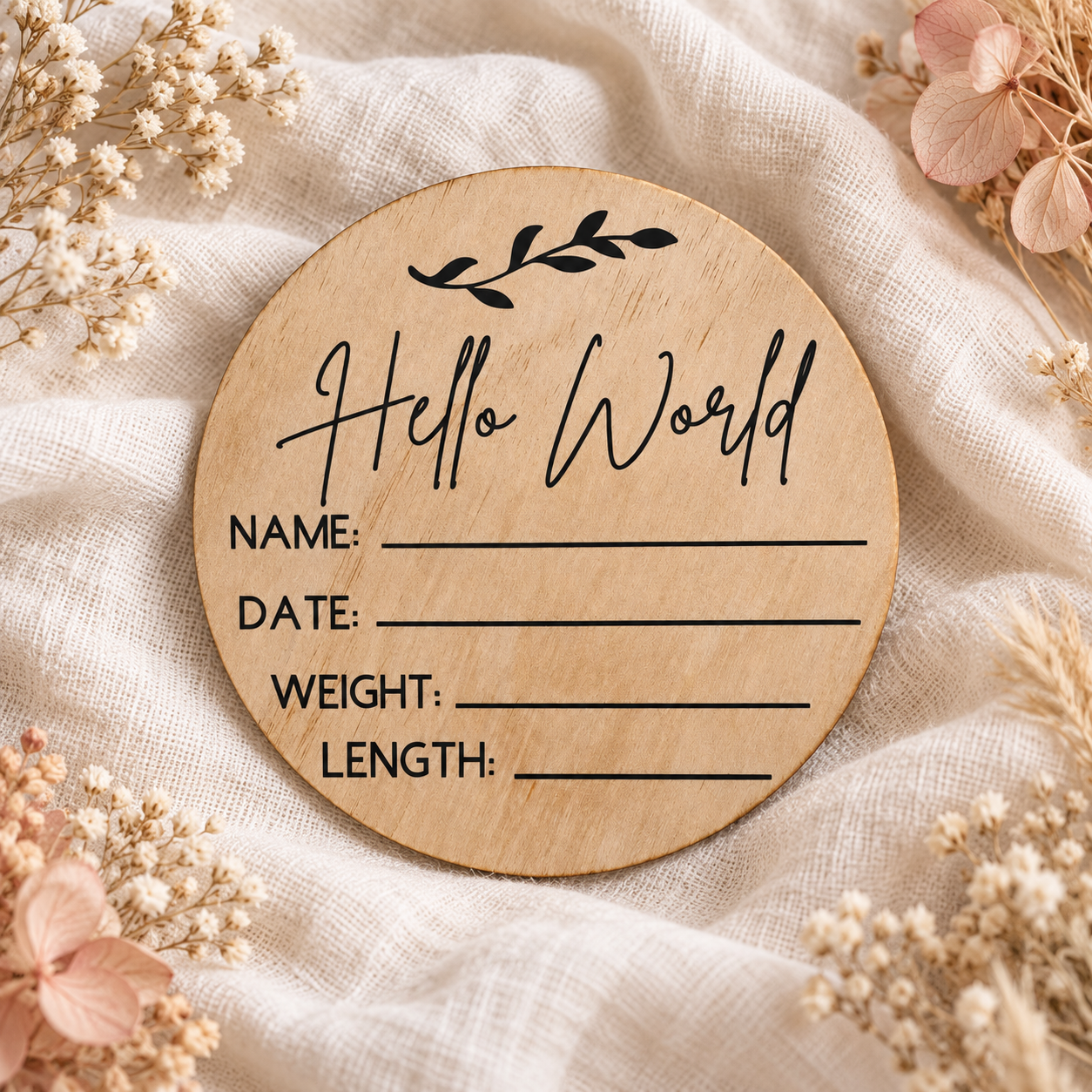 Hello World Birth Announcement Disc