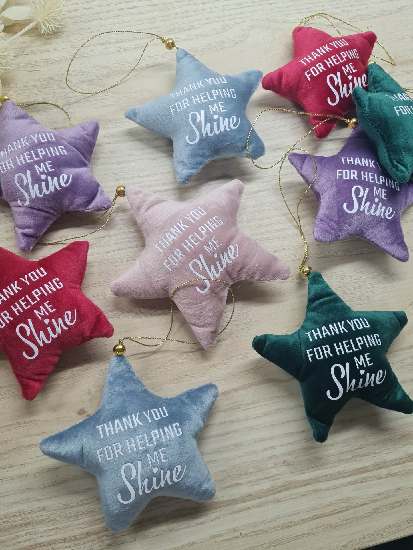 Hanging Velvet Star Decoration