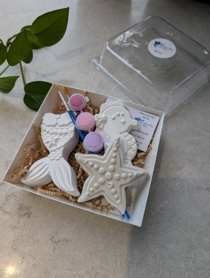 Plaster Painting Kits - Multi Pack