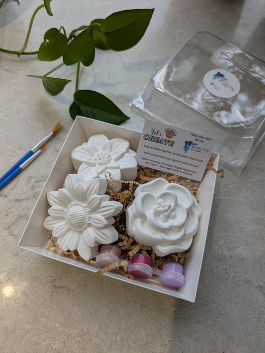Plaster Painting Kits - Multi Pack
