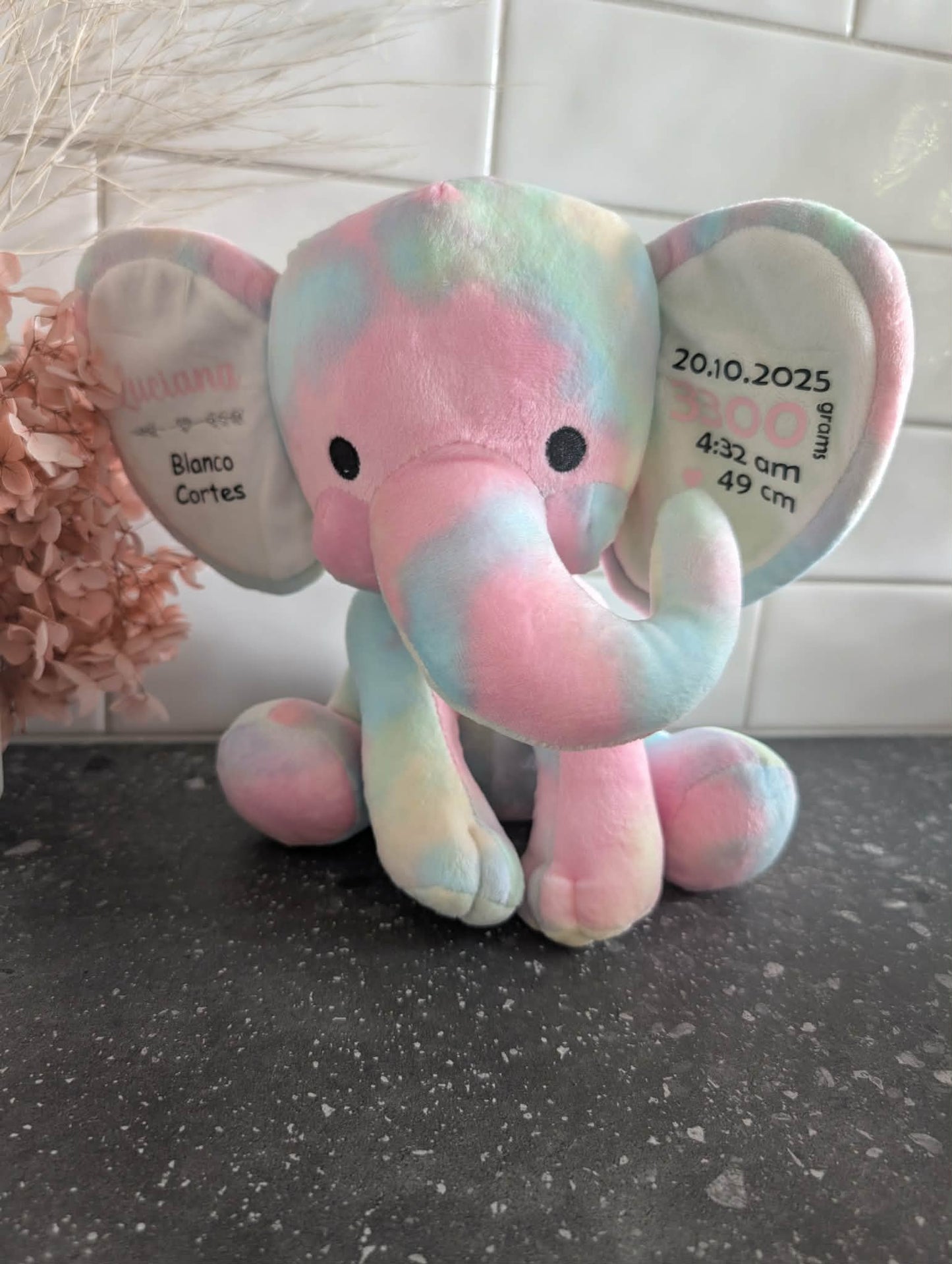 Baby Birth Detail Elephant - Rainbow