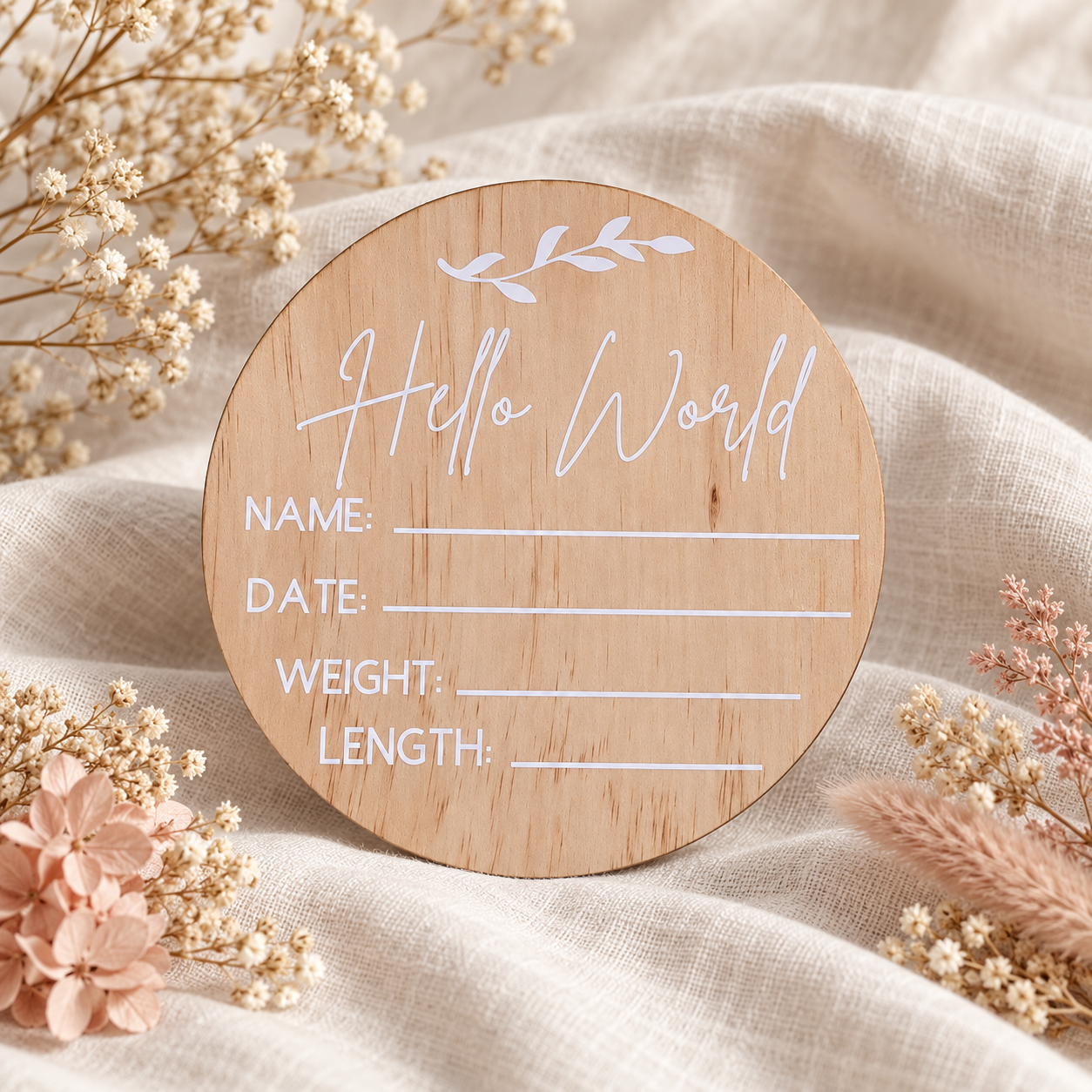 Hello World Birth Announcement Disc