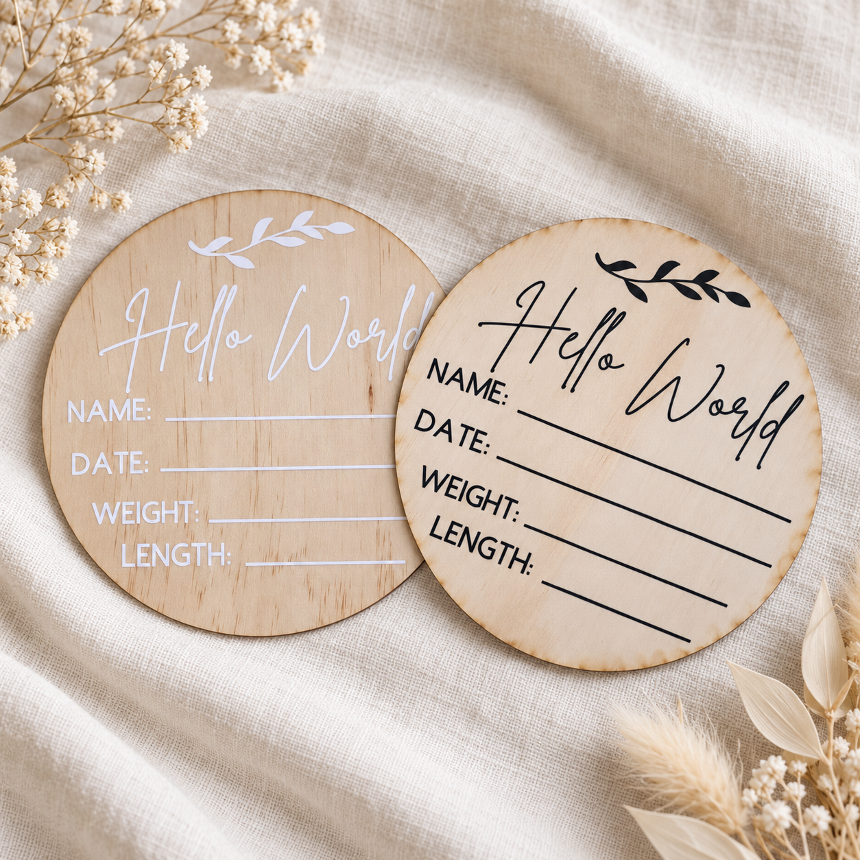 Hello World Birth Announcement Disc