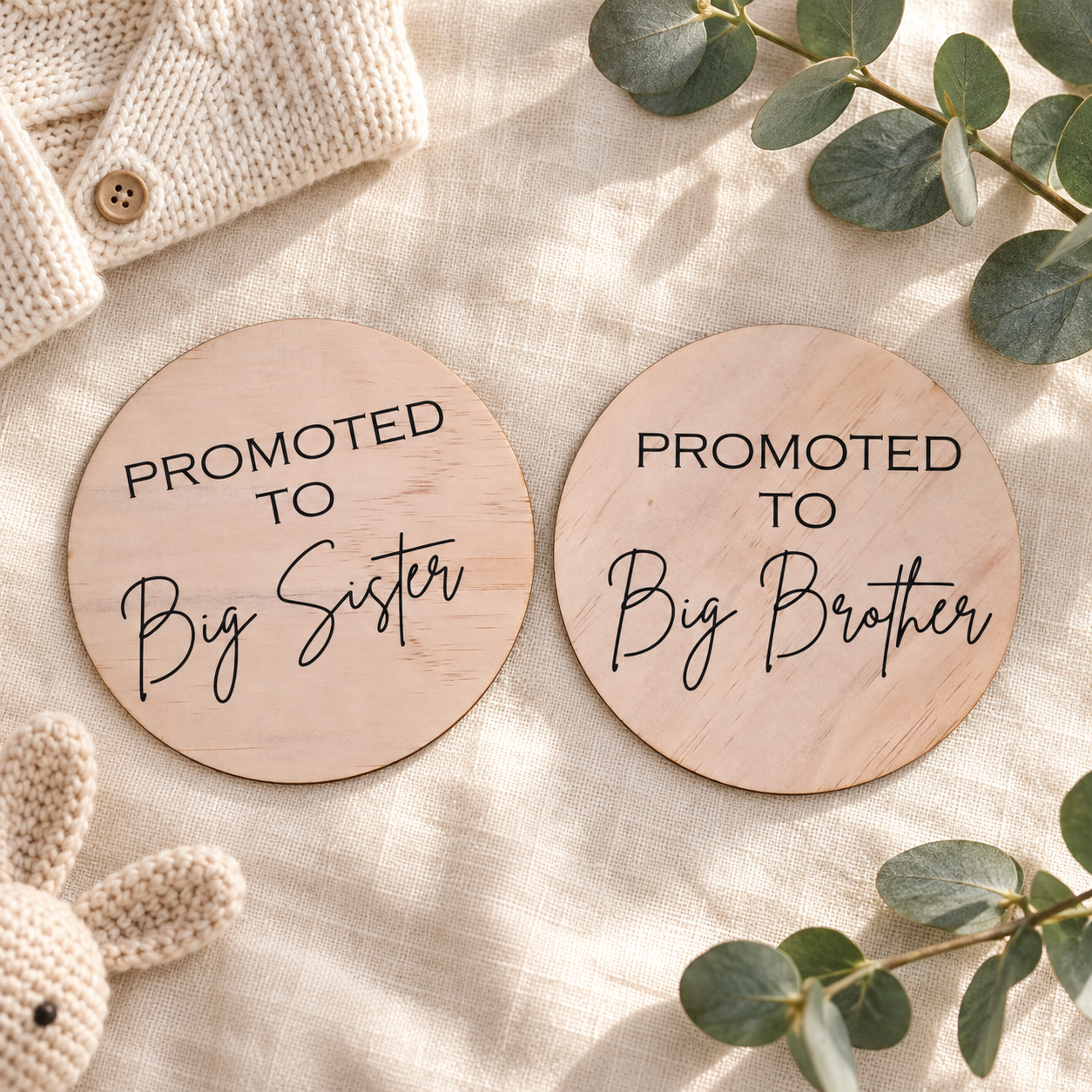 Promoted to Big Brother / Big Sister Plaque