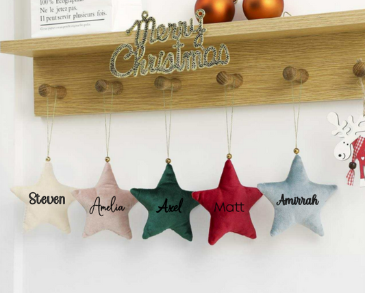 Hanging Velvet Star Decoration