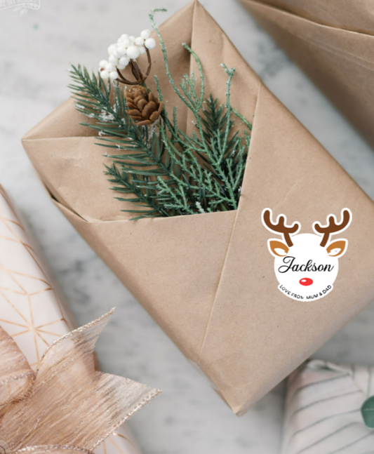 Christmas Rudolph Stickers 20pk