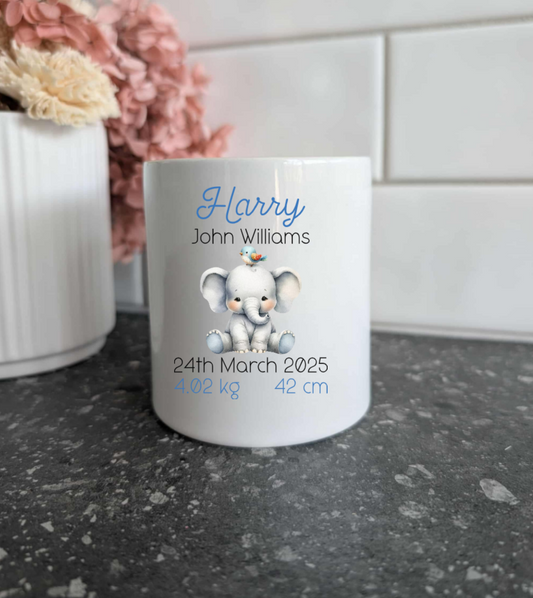 Elephant Birth Details Money Box