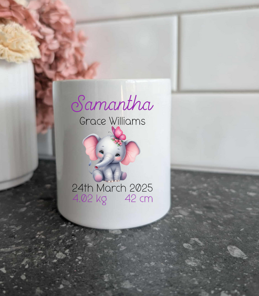 Elephant Birth Details Money Box