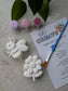 Plaster Painting Kits - Bulk Party Packs
