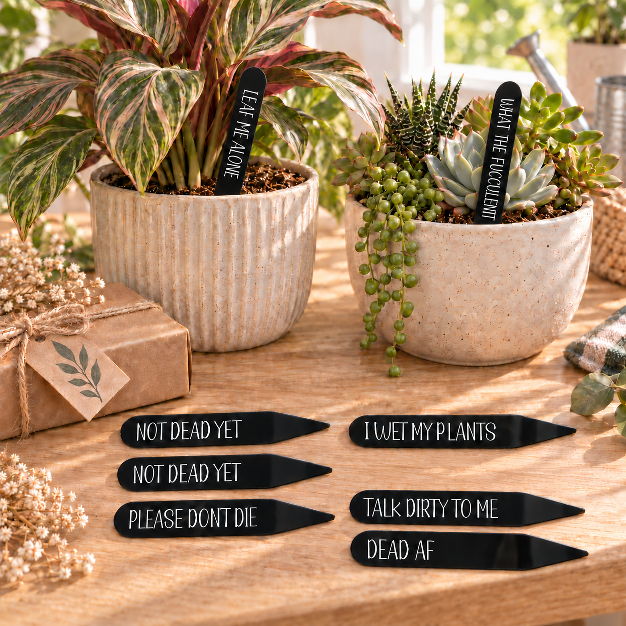 Funny Plant Stakes
