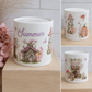 Fairy Money Box
