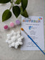 Plaster Painting Kits - Bulk Party Packs