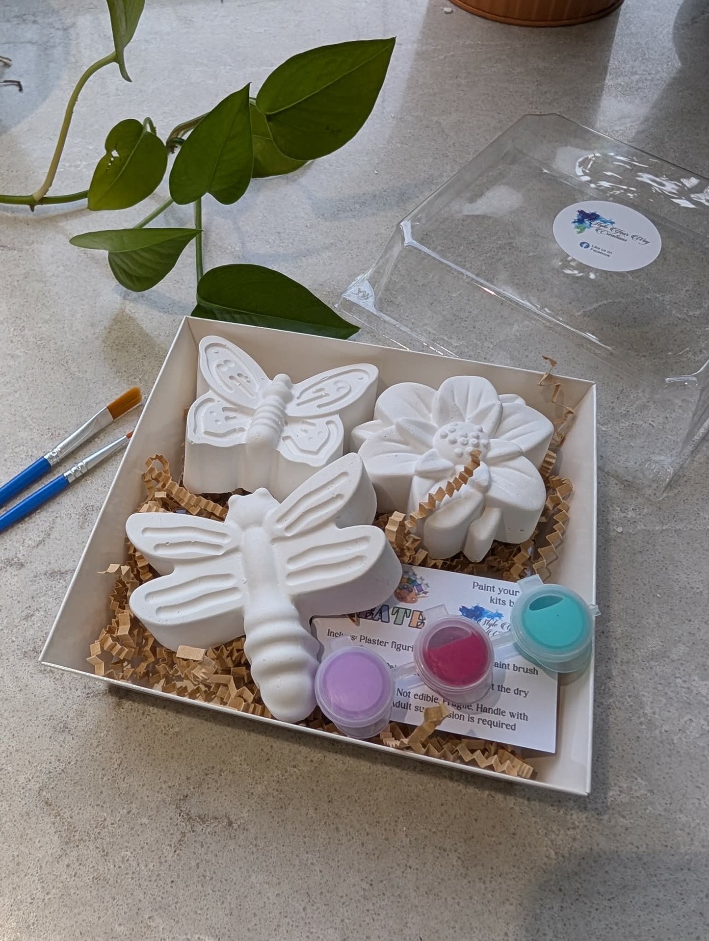 Plaster Painting Kits - Multi Pack
