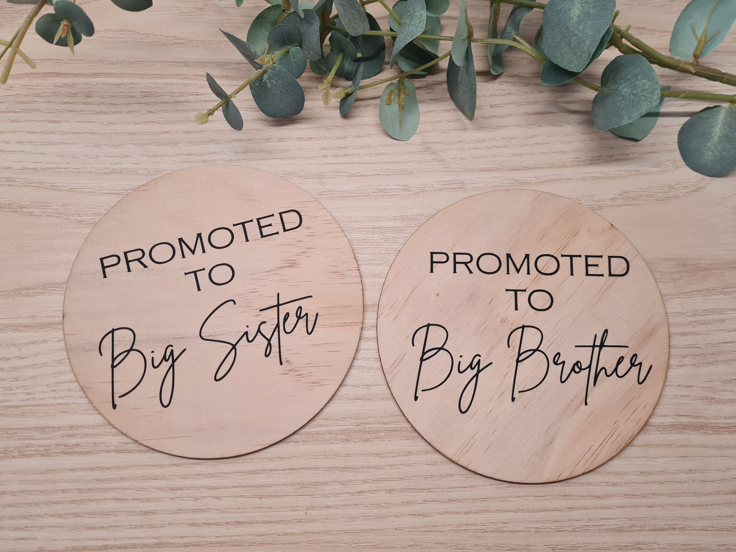 Promoted to Big Brother/ Sister Plaque