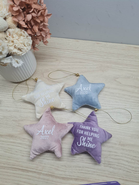 Hanging Velvet Star Decoration